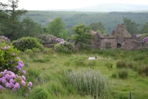 Ruins on the Vee gap