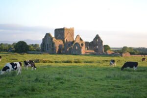 Rock of Cashel