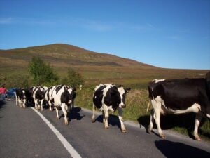 Vee Gap, Tipperary