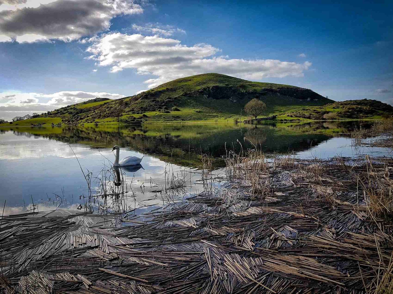View of Lough Gur